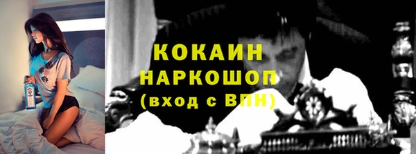 ПСИЛОЦИБИНОВЫЕ ГРИБЫ Вязники